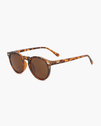 Belvoir Polarized Sunglasses