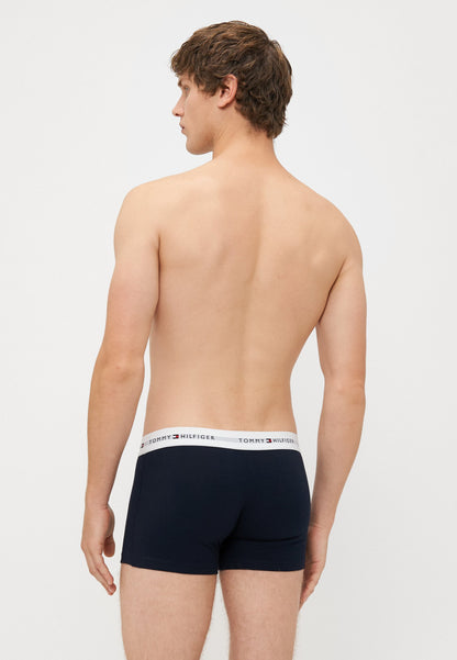 SIGNATURE TRUNK 5 PACK - Cuecas boxer - des sky/antique silver/white